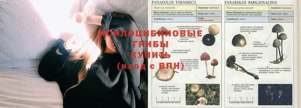 прущая мука Новодвинск