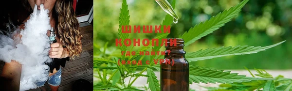 не бодяженный Новозыбков